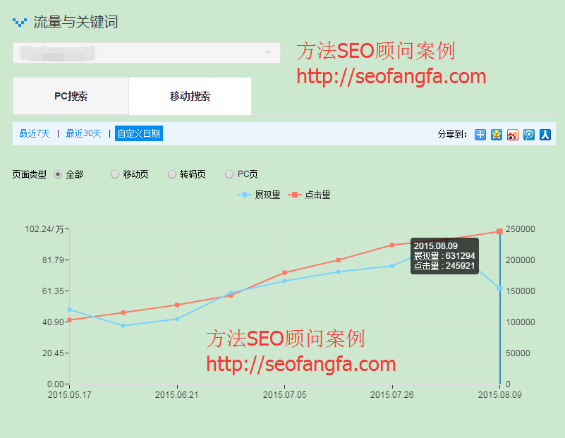 方法SEO顾问服务案例
